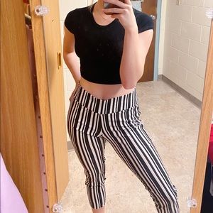 New York Company Zebra Pants
